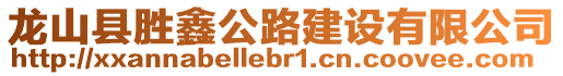 龍山縣勝鑫公路建設(shè)有限公司