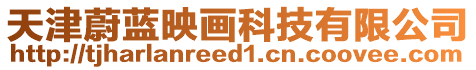 天津蔚藍映畫科技有限公司