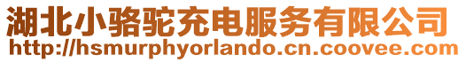 湖北小駱駝充電服務(wù)有限公司