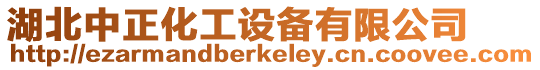 湖北中正化工設(shè)備有限公司