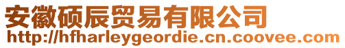 安徽碩辰貿易有限公司