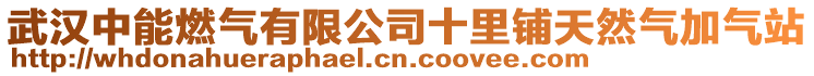 武漢中能燃?xì)庥邢薰臼镤佁烊粴饧託庹? style=