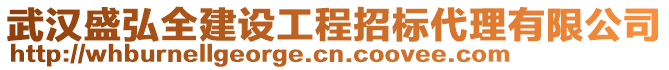 武漢盛弘全建設(shè)工程招標(biāo)代理有限公司