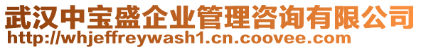 武漢中寶盛企業(yè)管理咨詢有限公司