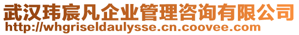 武漢瑋宸凡企業(yè)管理咨詢有限公司