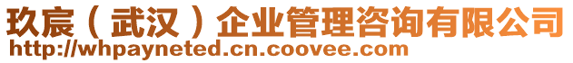 玖宸（武漢）企業(yè)管理咨詢有限公司