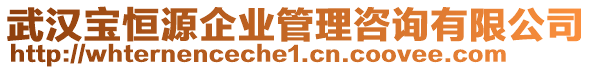 武漢寶恒源企業(yè)管理咨詢有限公司