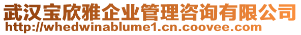 武漢寶欣雅企業(yè)管理咨詢有限公司