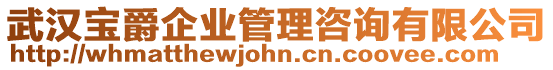 武漢寶爵企業(yè)管理咨詢有限公司