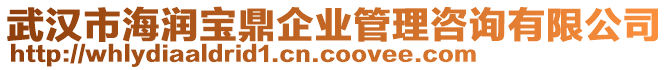 武漢市海潤寶鼎企業(yè)管理咨詢有限公司