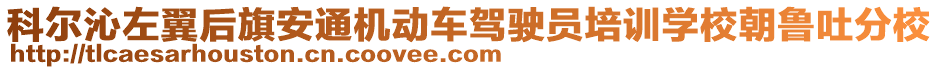 科爾沁左翼后旗安通機動車駕駛員培訓(xùn)學(xué)校朝魯吐分校