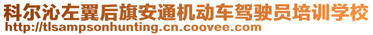 科爾沁左翼后旗安通機(jī)動(dòng)車駕駛員培訓(xùn)學(xué)校