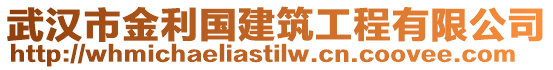 武漢市金利國建筑工程有限公司