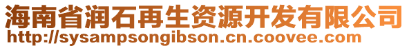 海南省潤石再生資源開發(fā)有限公司