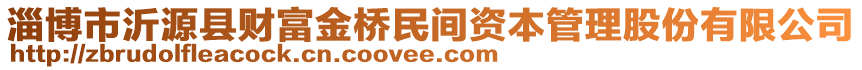 淄博市沂源縣財(cái)富金橋民間資本管理股份有限公司