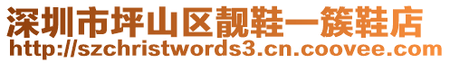 深圳市坪山區(qū)靚鞋一簇鞋店
