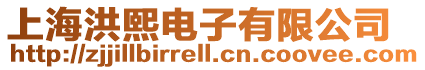 上海洪熙電子有限公司