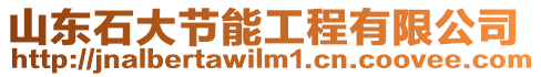 山東石大節(jié)能工程有限公司
