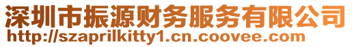 深圳市振源財務服務有限公司
