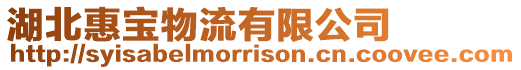 湖北惠寶物流有限公司