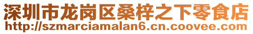 深圳市龍崗區(qū)桑梓之下零食店