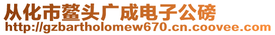 從化市鰲頭廣成電子公磅