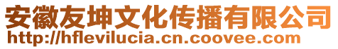 安徽友坤文化傳播有限公司