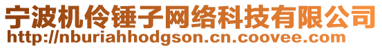 寧波機伶錘子網(wǎng)絡(luò)科技有限公司