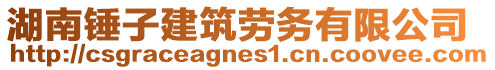 湖南錘子建筑勞務(wù)有限公司