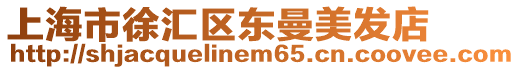 上海市徐匯區(qū)東曼美發(fā)店