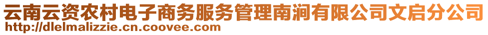 云南云資農(nóng)村電子商務服務管理南澗有限公司文啟分公司