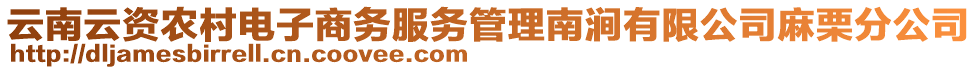 云南云資農(nóng)村電子商務(wù)服務(wù)管理南澗有限公司麻栗分公司