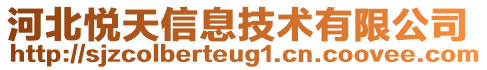 河北悅天信息技術(shù)有限公司