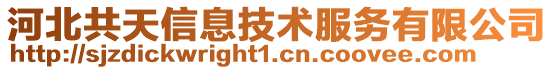 河北共天信息技術(shù)服務(wù)有限公司