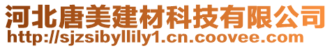 河北唐美建材科技有限公司