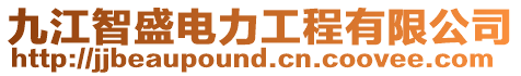 九江智盛電力工程有限公司