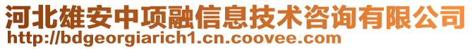 河北雄安中项融信息技术咨询有限公司