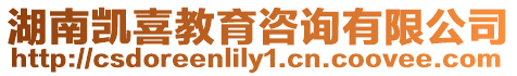湖南凱喜教育咨詢有限公司