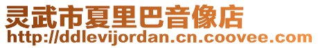 靈武市夏里巴音像店