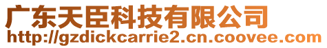 廣東天臣科技有限公司