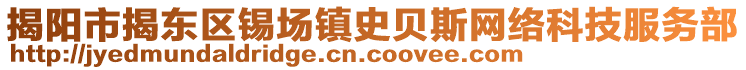 揭陽(yáng)市揭東區(qū)錫場(chǎng)鎮(zhèn)史貝斯網(wǎng)絡(luò)科技服務(wù)部