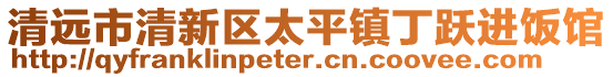 清遠市清新區(qū)太平鎮(zhèn)丁躍進飯館