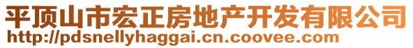 平頂山市宏正房地產(chǎn)開(kāi)發(fā)有限公司