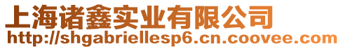 上海諸鑫實業(yè)有限公司