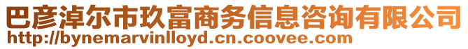 巴彦淖尔市玖富商务信息咨询有限公司