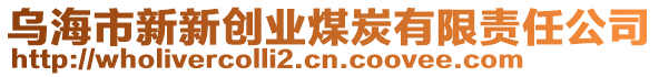 乌海市新新创业煤炭有限责任公司