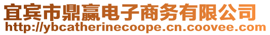 宜賓市鼎贏電子商務(wù)有限公司