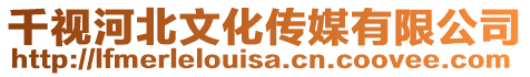 千視河北文化傳媒有限公司