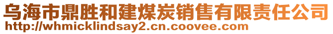 乌海市鼎胜和建煤炭销售有限责任公司