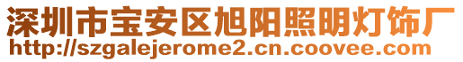 深圳市宝安区旭阳照明灯饰厂